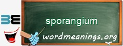 WordMeaning blackboard for sporangium